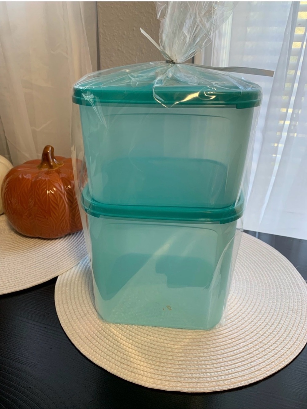 Tupperware Teal Stackable Food Storage Containers - 2 Pack
